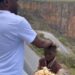 So Emotional: Man Cries As He Runs Into Children Hawking On The Road, Reminds Him of His Childhood (Video)