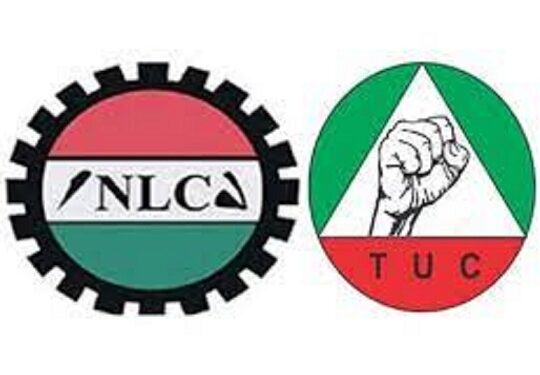 ASUU and NMA Are Not Recognised Labour Unions In Nigeria – FG