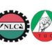 ASUU and NMA Are Not Recognised Labour Unions In Nigeria – FG