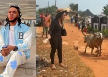 Nigerian Man Buys Cow As Wedding Gift For Cousin Who Helped Him Relocate Abroad (Video)