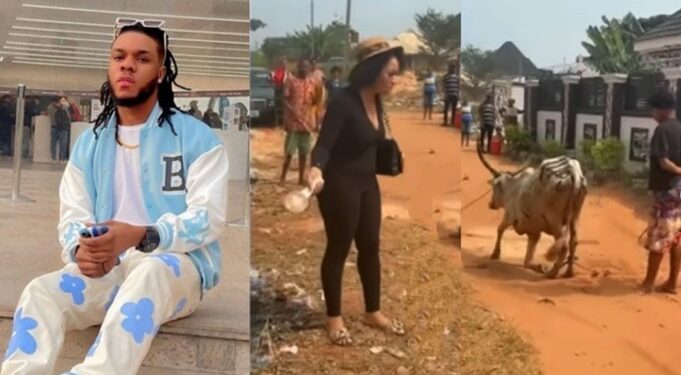 Nigerian Man Buys Cow As Wedding Gift For Cousin Who Helped Him Relocate Abroad (Video)