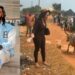 Nigerian Man Buys Cow As Wedding Gift For Cousin Who Helped Him Relocate Abroad (Video)