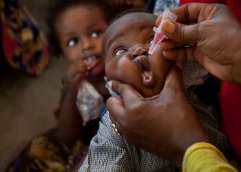 Polio Rocks Bauchi, 38 New Cases Recorded