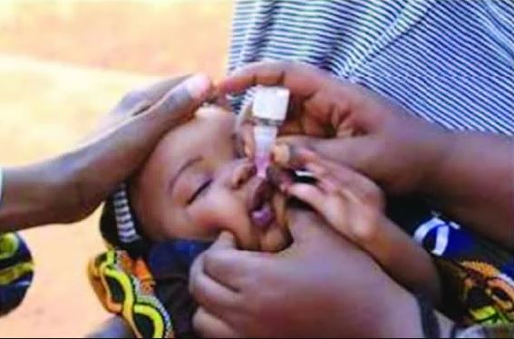 BREAKING: 27 States, FCT On Alert As Nigeria Reports 395 Cases Of Mutant Polio-virus2