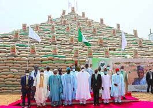 President Buhari Promises, Says Price Of Rice Will Fall After Launch Of Pyramids