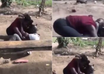 Husband And Wife Engage In Wrestling Match Publicly, Onlookers Refuse To Separate Them (Video)