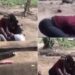 Husband And Wife Engage In Wrestling Match Publicly, Onlookers Refuse To Separate Them (Video)