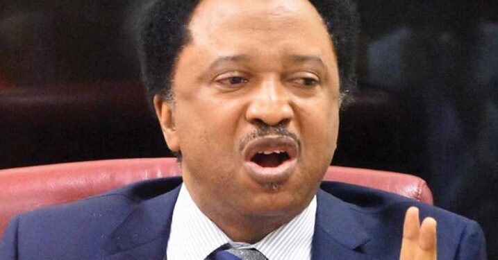 Shehu Sani Reacts As Tinubu Says Nigerian Youths Can Only Be President After Him