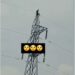 Unbelievable: Residents Shout As They Gather To Watch ”Witch” That Landed On A High Tension Cable (Video)