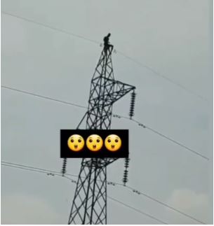 Unbelievable: Residents Shout As They Gather To Watch ”Witch” That Landed On A High Tension Cable (Video)