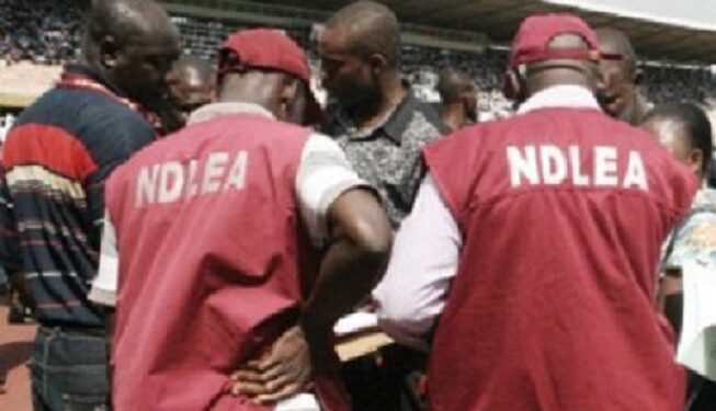 NDLEA Arrests General Overseer Of Popular Church With Drugs At Lagos Airport (Photo)