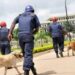 Panic As NSCDC Arrests Three Persons With Human Bones