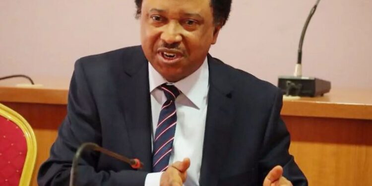 Insecurity: Nigerians Should Be Allowed To Carry Weapons – Shehu Sani