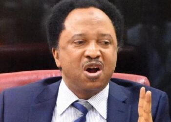 What Obasanjo Told Me When We Were Sentenced To Life Imprisonment – Shehu Sani