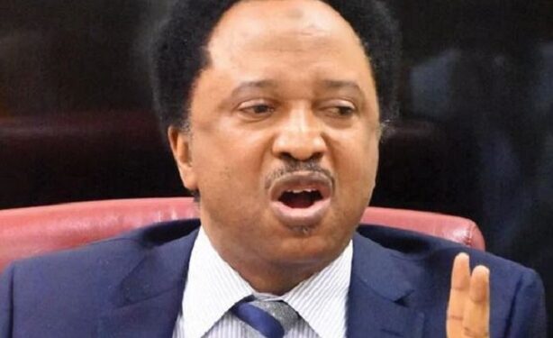 What Obasanjo Told Me When We Were Sentenced To Life Imprisonment – Shehu Sani