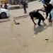 Man Fights Armed Policemen Who Insisted On Extorting Him Despite Having Complete Car Papers (Video)
