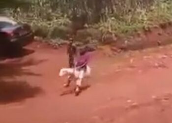 So Funny: Little Boy Spotted Riding a Sheep (Video)