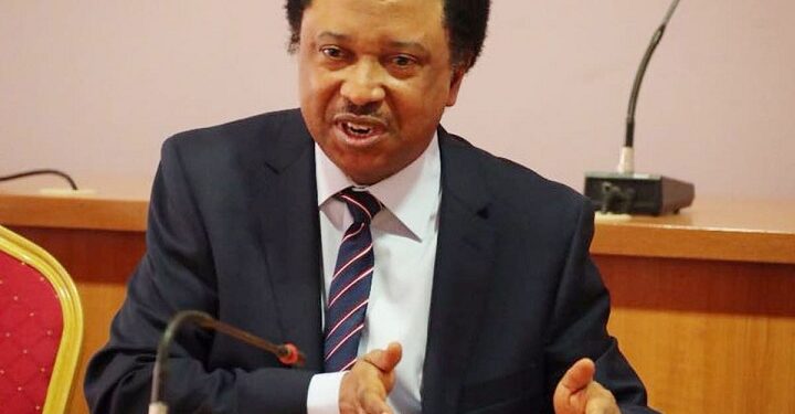 Shehu Sani Asks The Essence Of Linking SIM to NIN Since Bandits Are Calling Family Of Victims Without Being Identified