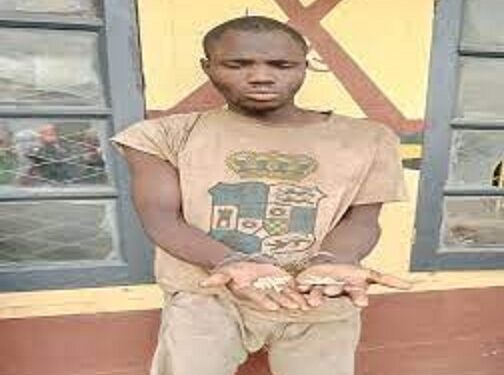 Amotekun Apprehends Man After Removing Corpse Teeth For Ritual In Osun