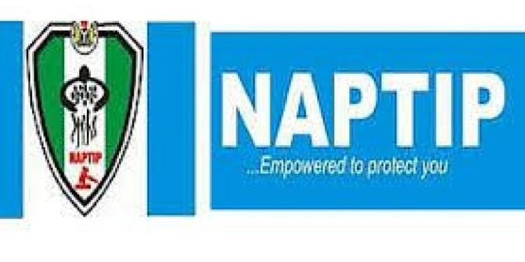 Need For Human Organs On The Rise: Nigerians Are Now Taken To Dubai By Traffickers, NAPTIP Reveals