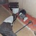 Two Thieves Mysteriously Fall Asleep After Stealing Several Items From Elderly Woman’s House (Video)