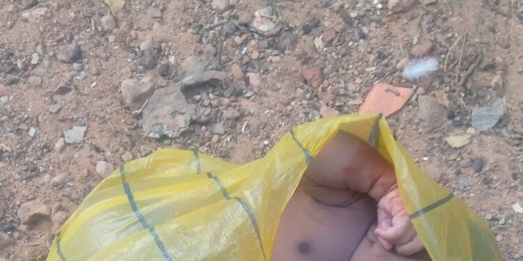 Newborn Baby Wrapped In Polythene Bag Found Dead In Kebbi