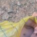 Newborn Baby Wrapped In Polythene Bag Found Dead In Kebbi