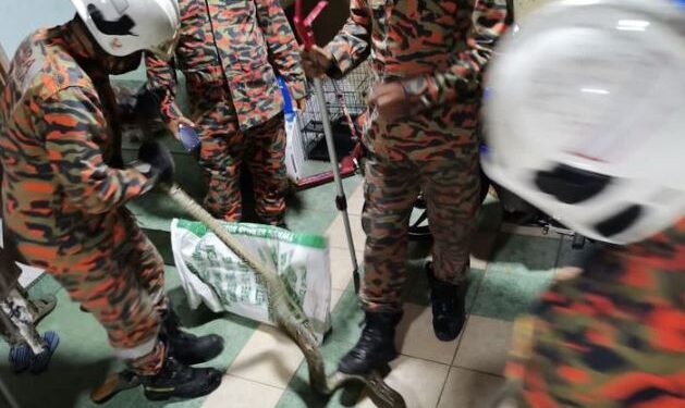 Snake Bites Man’s ‘Yansh’ While He Was Sitting On The Toilet And Pressing His Phone (Photos)
