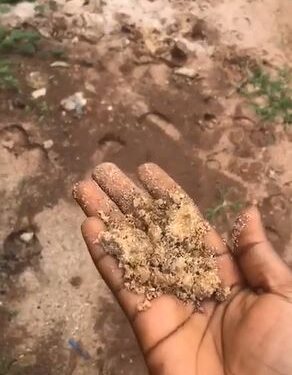 Reactions As Lady Puts Mother’s Life On The Line As She Swears To Prove Her Love To Boyfriend (Video)