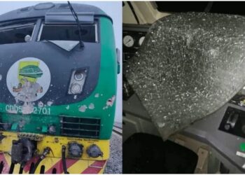 Kaduna Train Attack: Some Victims Have Been Bitten By Snakes – Negotiator Claims