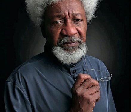 I Didn’t Pay Tribute To Tinubu — Soyinka