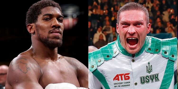 Anthony Joshua vs Oleksandr Usyk: Venue For Rematch Revealed