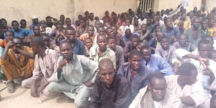 Over 204 Boko Haram Insurgents And Family Members Surrender To Troops In Borno (Photos)
