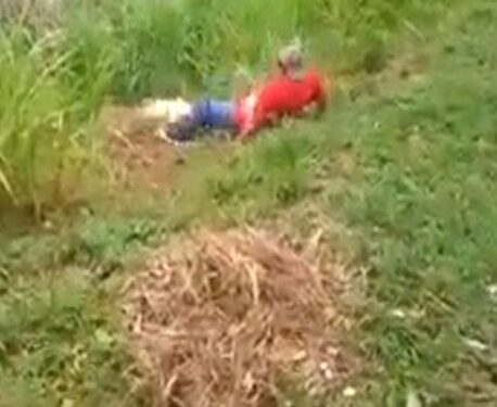 Crocodile Attacks Man, Drags Him Into Lagoon After He Threw Stones At It (Photos)
