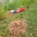 Crocodile Attacks Man, Drags Him Into Lagoon After He Threw Stones At It (Photos)