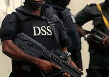 Ekiti Election: Drama As DSS Arrests Journalist Over Video Of Fight At Fayose’s Polling Unit