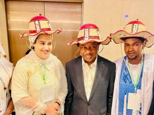 Fulani From 16 Countries Converge In Abuja To Discuss Rising Insecurity