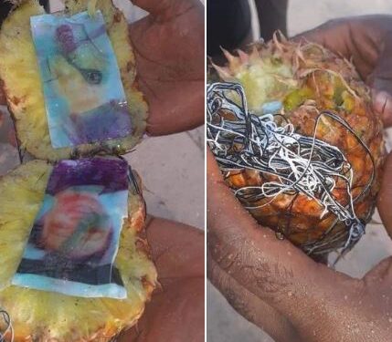 Panic As Photo Of A Man And Woman Found Inside A Pineapple Which Washed Up From The Sea (Photos)