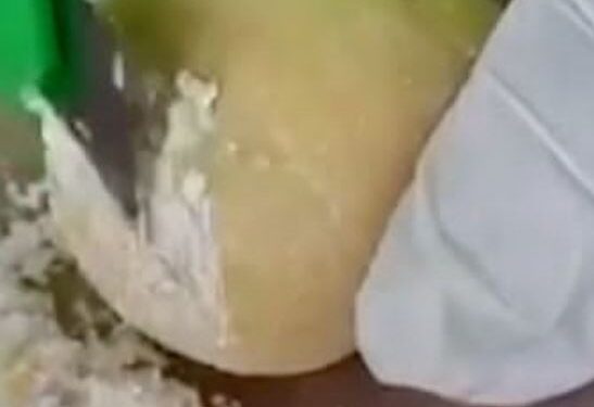Police Seize A Tonne Of Cocaine Concealed As Potatoes (Video)