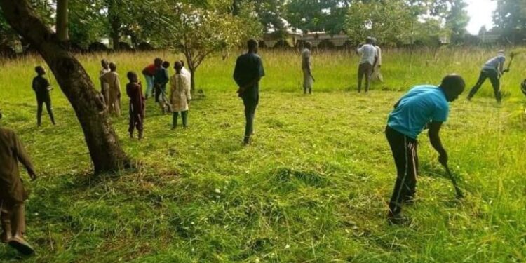 Christians Join Muslims To Clear Grass At Kaduna Mosque Ahead Of Sallah (Photos)