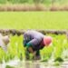 20 Farmers In Shock, Hospitalized After Losing N500m To Flooding In Ogun