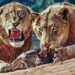 Man Eaten By Lions While Walking Home With His Family