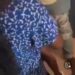 What Did I Do To Deserve This – Man Weeps Uncontrollably After Discovering His Child Isn’t His (Video)