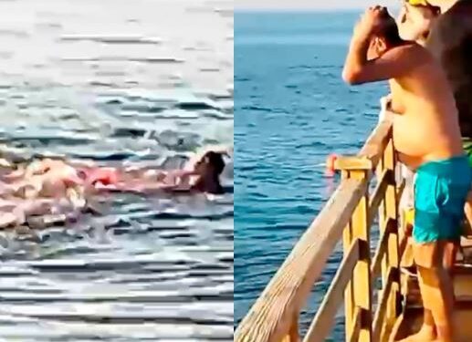See The Horrifying Moment Shark Ripped A Tourist Apart As Families Watch (Photos)