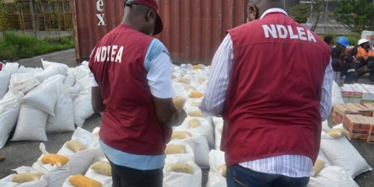 NDLEA Arrests Pastor With 3 Drums Of ‘Mkpuru Mmiri’ Imported From India