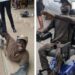 Thugs Attack Physically Challenged Man Campaigning For Peter Obi In Lagos (Video)