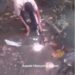 Police Places Curses On His Commander And Two Others By Pouring Libation And Performing Rituals By A River Side (Video)