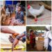 Bulletproof water: Kogi Govt Seals Church Over Alleged Medical Quackery And Fraudulent Activities, Rescues Chained People (Photos)