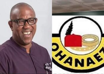 2023: Why we won’t endorse Peter Obi, by Ohanaeze