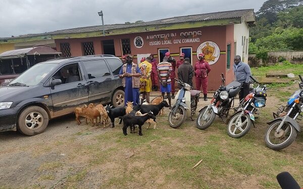Amotekun Arrests Three Suspects For Stealing 18 Goats In Osun